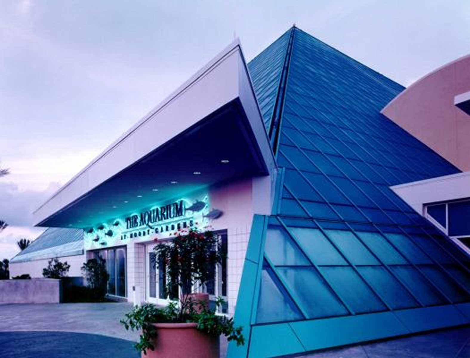Entertainment Design Aquarium Facility Architects